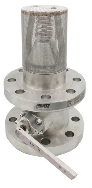 LPG_Double_Flange_Internal_Valve_SSA3218FD