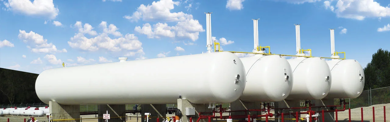 LPG_home_page